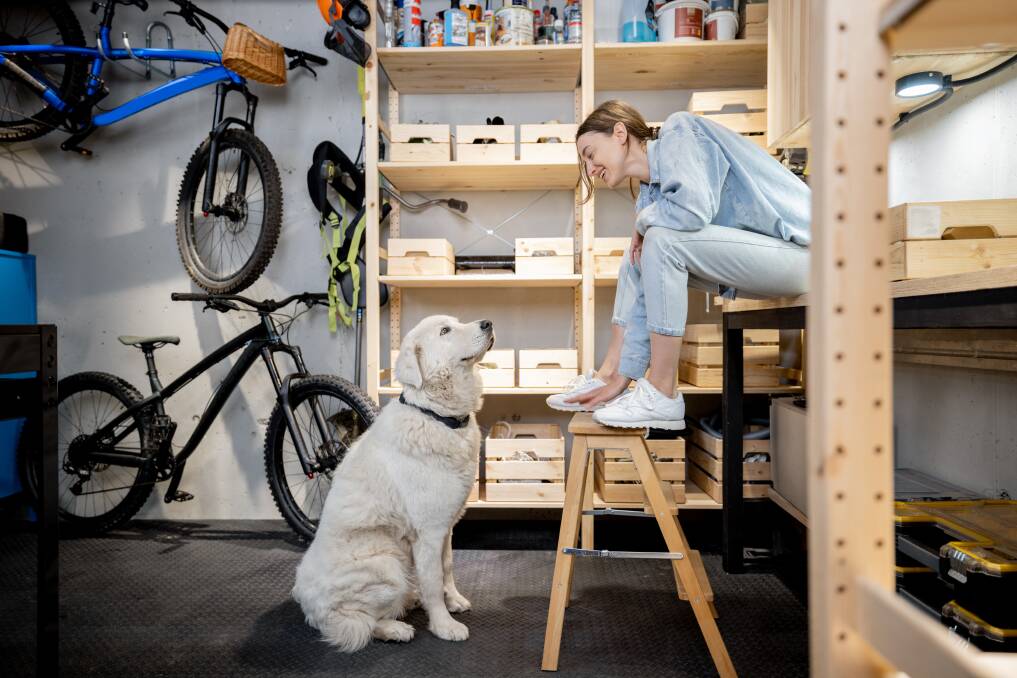 Your garage is a goldmine of potential storage and functionality. Picture Shutterstock
