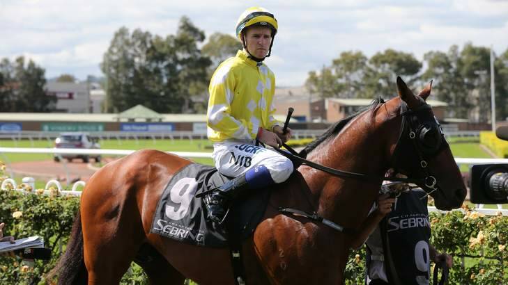 Jockey Tommy Berry on Bullpoint before the start of race 3 at Rosehill Gardens, riding two days after the death of his twin brother. Photo: Anthony Johnson