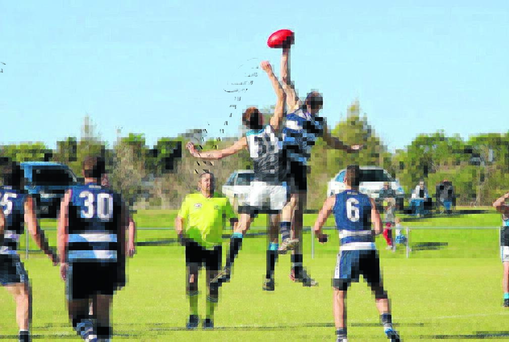 Anthony Brennan leaps high to win the ball for the Cats.