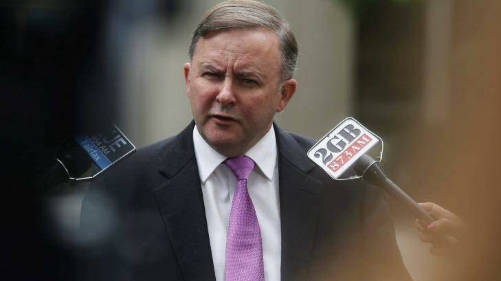 Anthony Albanese has labelled the plan is "unilateral economic disarmament". Photo: Dominic Lorrimer