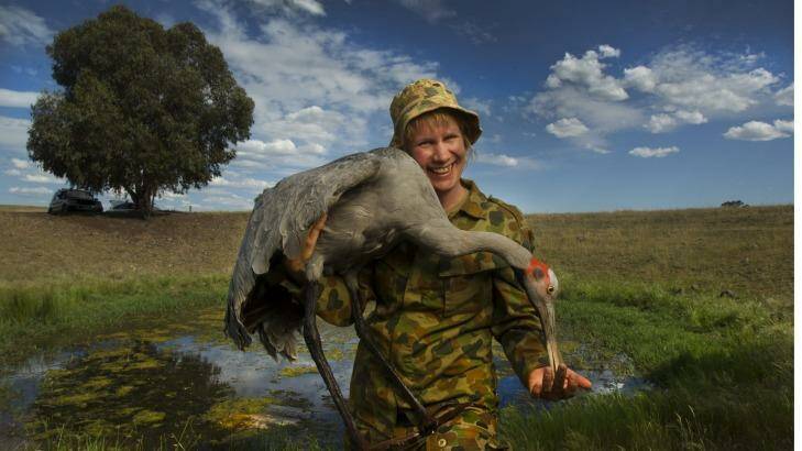 Decked out in camouflage gear, Inka Veltheim holds one of the taxidermied brolgas.  Photo: Simon O'Dwyer