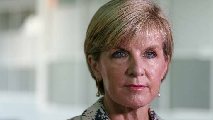 Foreign Minister Julie Bishop has called for restraint after the downing of a Russian fighter jet year the Turkey-Syrian border. Photo: Alex Ellinghausen