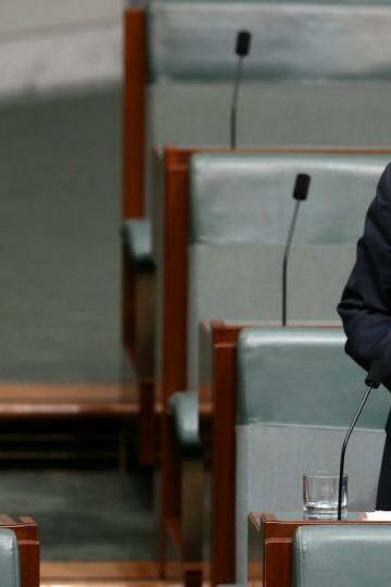 Former long-serving federal bureaucrat turned MP, Andrew Wilkie,  voted against the new laws. Photo: Alex Ellinghausen