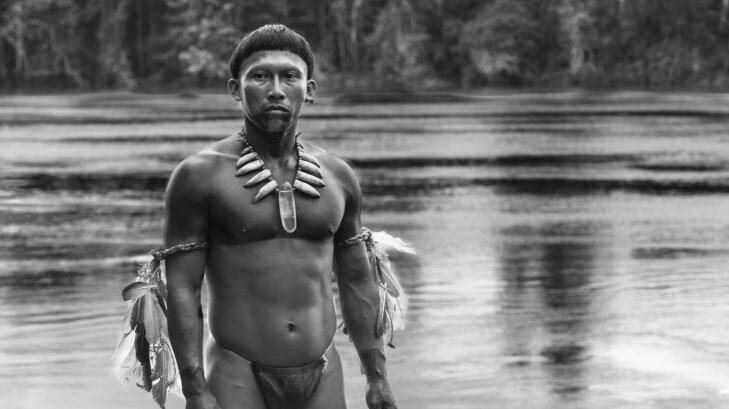 <i>Embrace of the Serpent</I> is a visually stunning story from the Colombian Amazon. Photo: Palace
