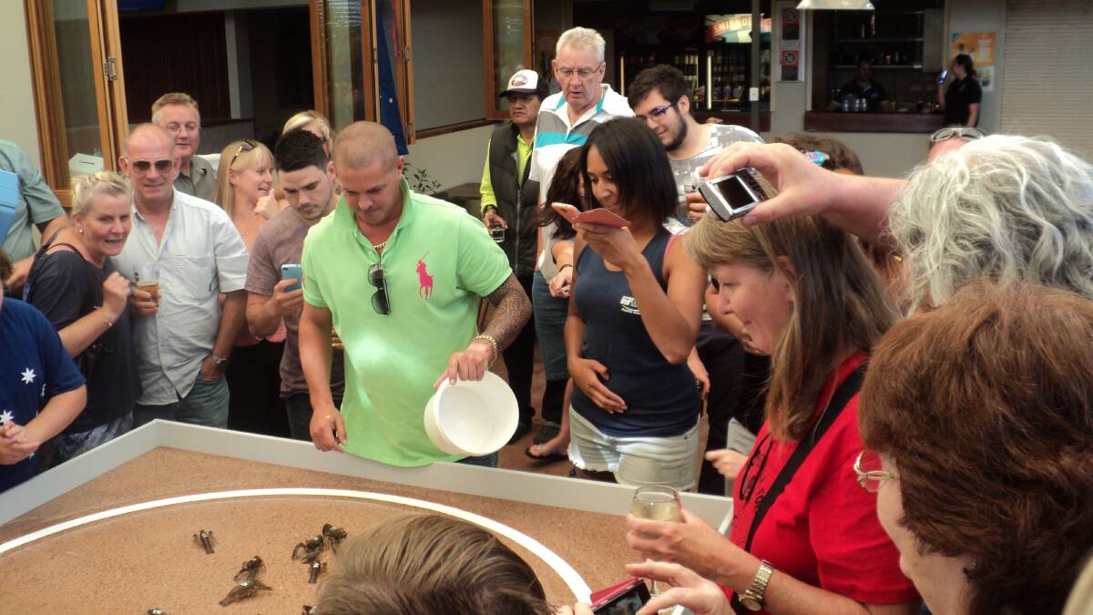 Yabby races at Walsh's, Australia Day 2015.