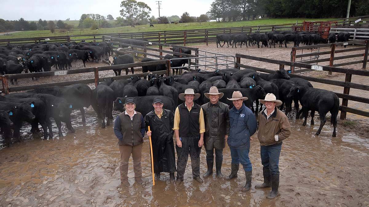 BRAIDWOOD: Ray White Livestock Braidwood sent just short of a thousand steers out of the Braidwood area last week bound for an export job to Russia. The Ray White team after weighing last Wednesday - Ellen Simpson, Forbes Corby, Nick Harton, Denver Shoemark, Simon Green (Buyer) & and Paddy Bell.