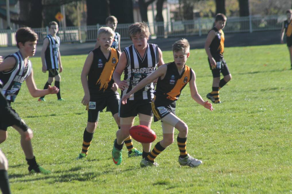 The Queanbeyan Tigers under 13s side takes on the Belconnen Magpies at Queanbeyan Town Park, Saturday, June 28.