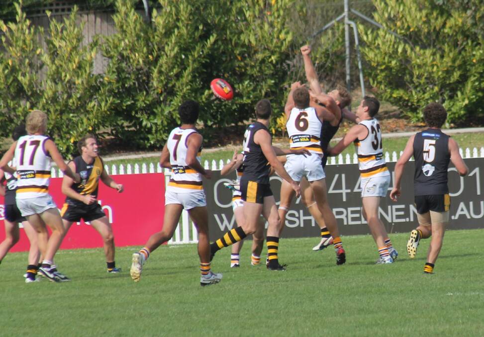 Hit and miss: the Tigers were not up to scratch against the Aspley Hornets on Saturday. Photo: Joshua Matic.