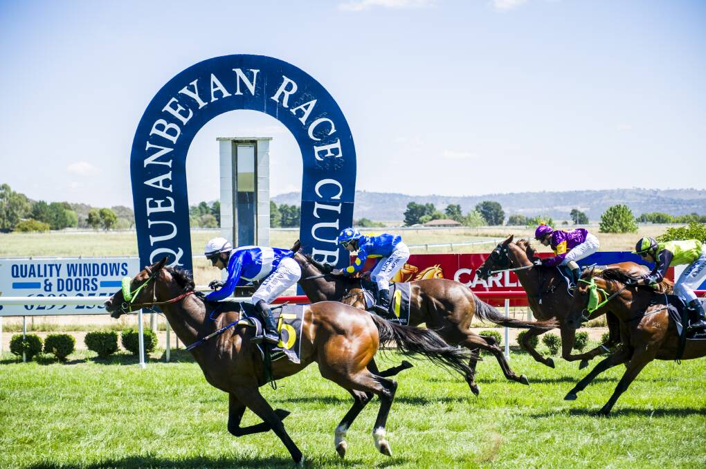Gerry Harvey's General Explorer will feature at Queanbeyan's Race meeting on Monday. Photo: Rohan Thomson
