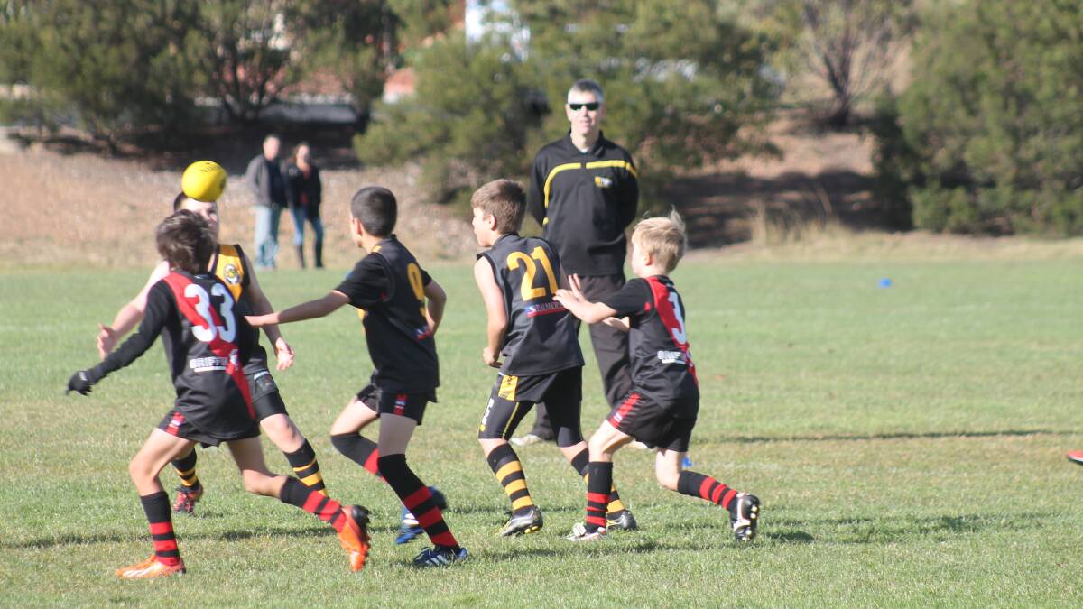 All the action from the Queanbeyan Tigers under 10s side taking on the Eastlake Demons at Jerrabomberra's Halloran Drive Oval, Saturday, June 28.