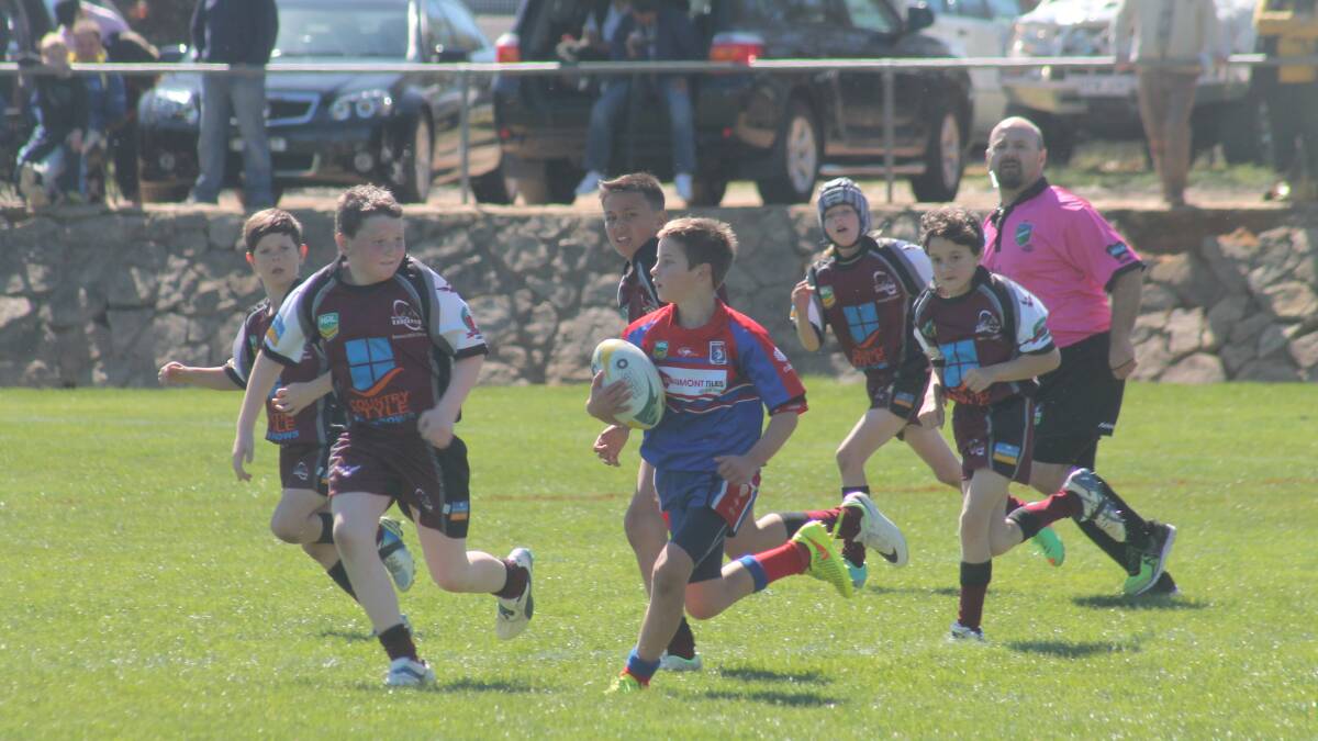 Highlights from the Queanbeyan Kangaroos' under 10s loss to the South Tuggeranong Knights at Northbourne Oval on Sunday, September 7.