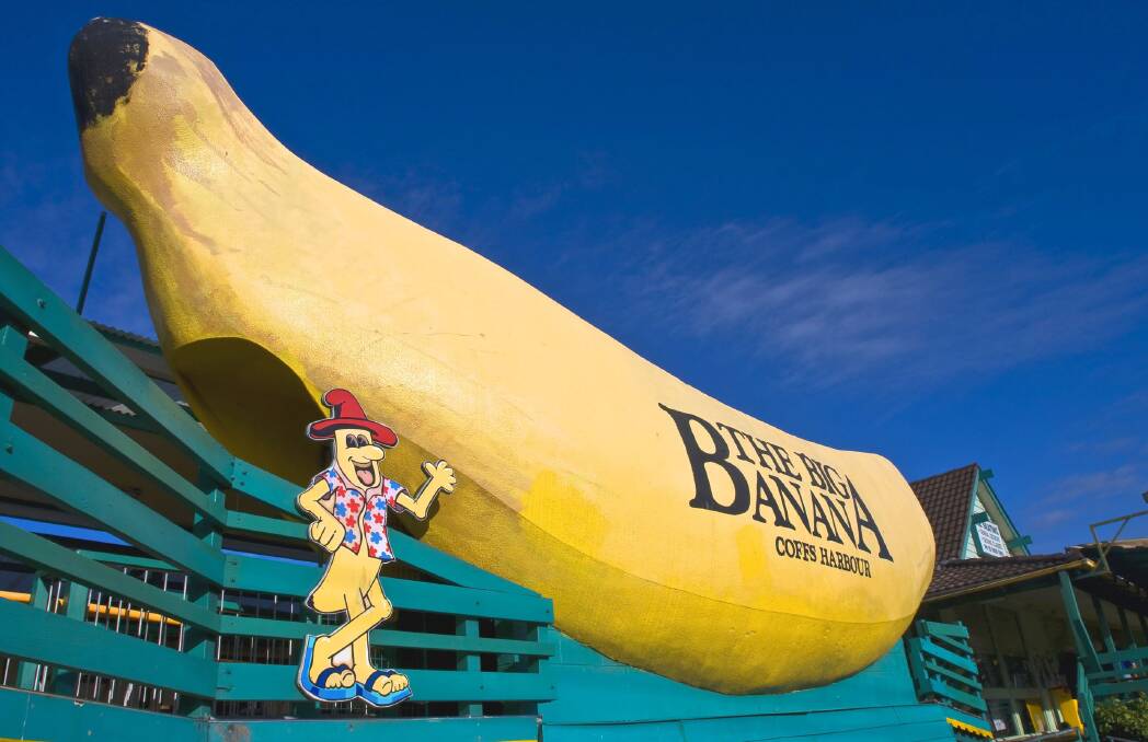 The Big Banana in Coffs Harbour, Queensland is one of Australia's favourite big icons. PHOTO FDC images.