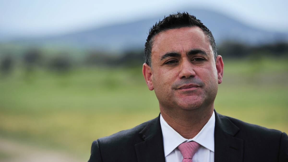 Member for Monaro John Barilaro says the wind farm industry needs to be competitive without government support. 