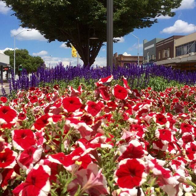 Queanbeyan's colourful main street as captured by @RiversidePlaza.