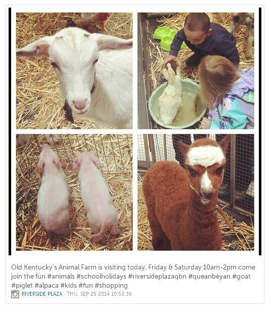 Animals, kids, camera phones. That's what happens when Old Kentucky's Animal Farm visits Riverside Plaza. 

Use #queanbeyan when you upload pics online and we will add them to next week's social media wrap. Photo: Instagram / Riverside Plaza.