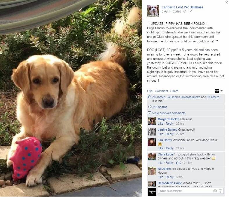 Social media is helping to reunite owners with their lost pets.