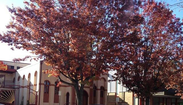 Autumn is starting to crept into Queanbeyan as pictured here by @Oz_Travels.