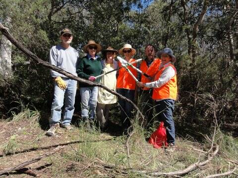 Queanbeyan Landcare members Andrew and Marg Nicholls, Karen Groeneveld, Simone Gregor, Bill Willis and Linda Beveridge have been working hard to stamp out the weeds in Bicentennial Park. Photo: supplied.