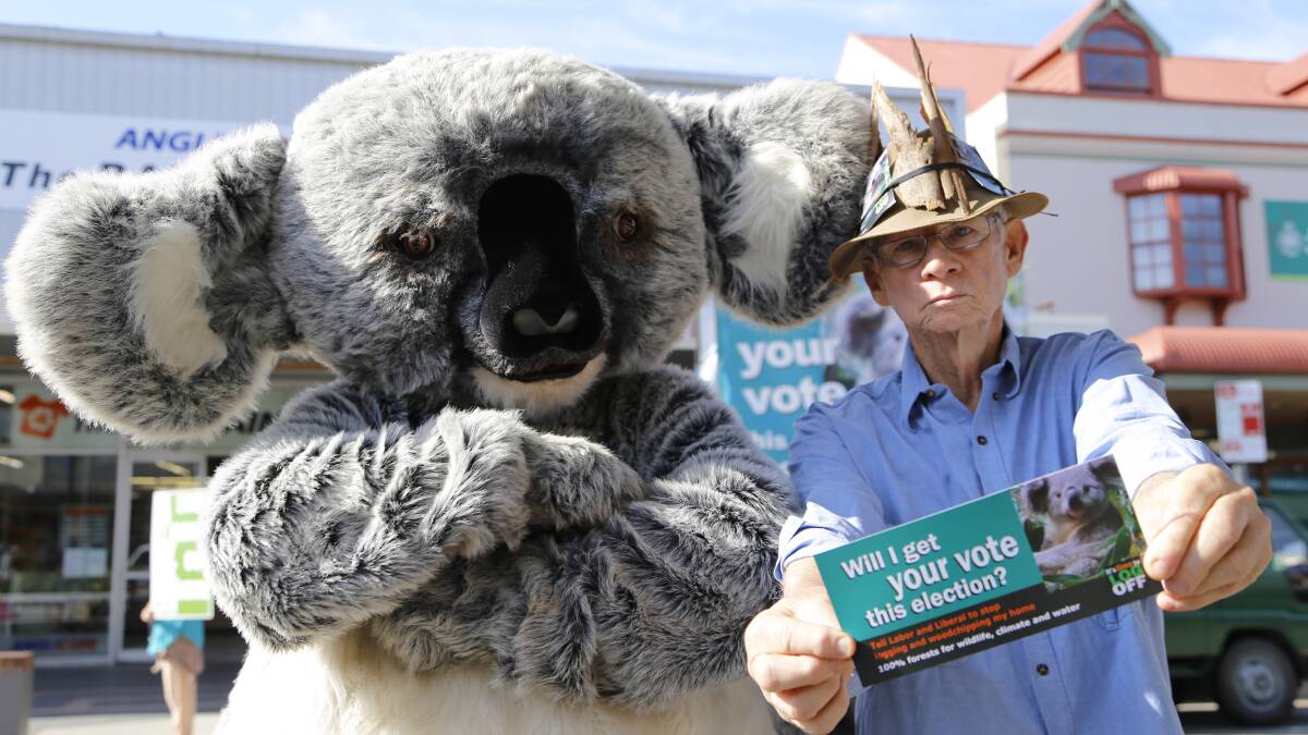 'Cranky Koala' and John Reid in Queanbeyan today encouraging voters to consider the state of native forests ahead of the NSW election. Photo: Kim Pham.