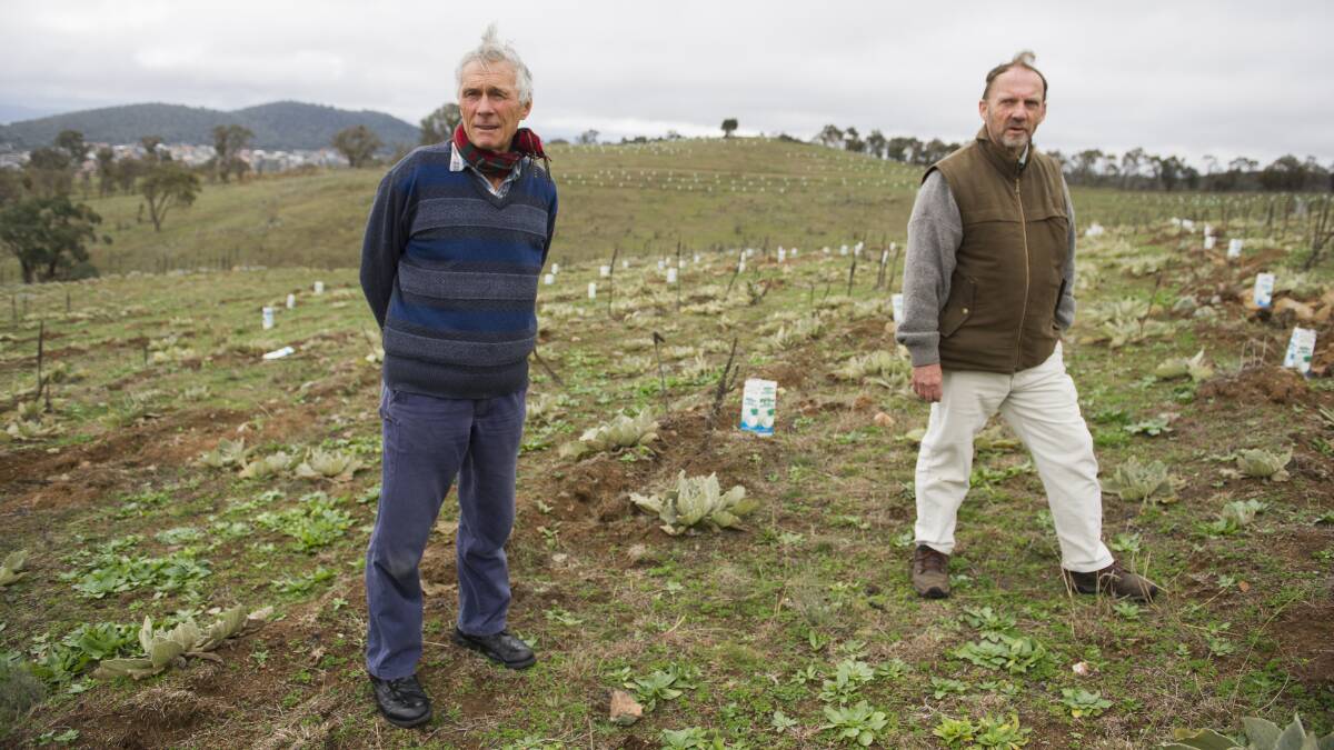 Tom Baker and Bill Willis call out for members to join a new Jerrabomberra group. Photo: Jay Cronan.