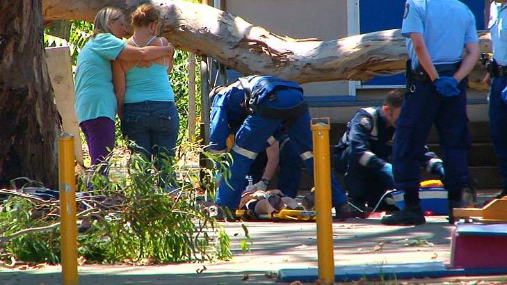 A large branch fell in the playground injuring at least four people. Photo: Jason Webster