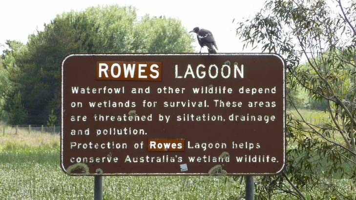 Rowes Lagoon.
