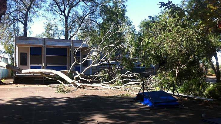 The large branch fell down in the playground. Photo: Saffron Howden