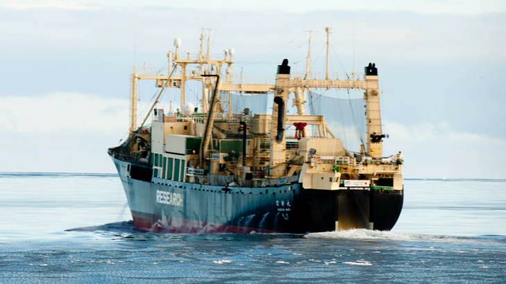 Japanese whaling factory ship Nisshin Maru. Photo: Sea Shepherd
