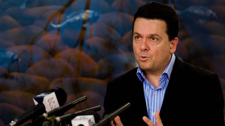 Senator Nick Xenophon has compared Queensland MP Clive Palmer to former Italian leader Silvio Berlusconi. Photo: Paul Jeffers