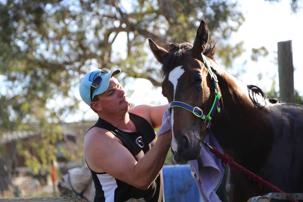 Queanbeyan trainer Joe Cleary gives Black Opal hopeful Quietly Brilliant a rub down after work. The two-year-old will jump in this Sunday's $275,000 Black Opal in Canberra. Photo: Andrew Johnston