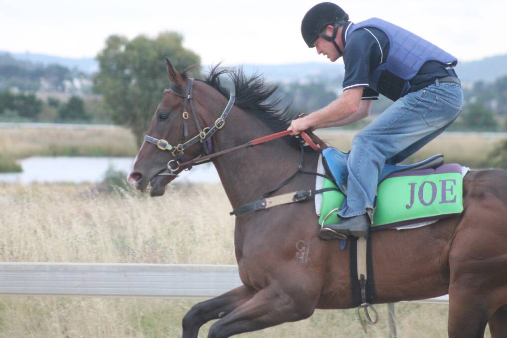 Trackwork rider Heath Parker puts General Explorer through his paces in work on Thursday morning. Photo: Andrew Johnston