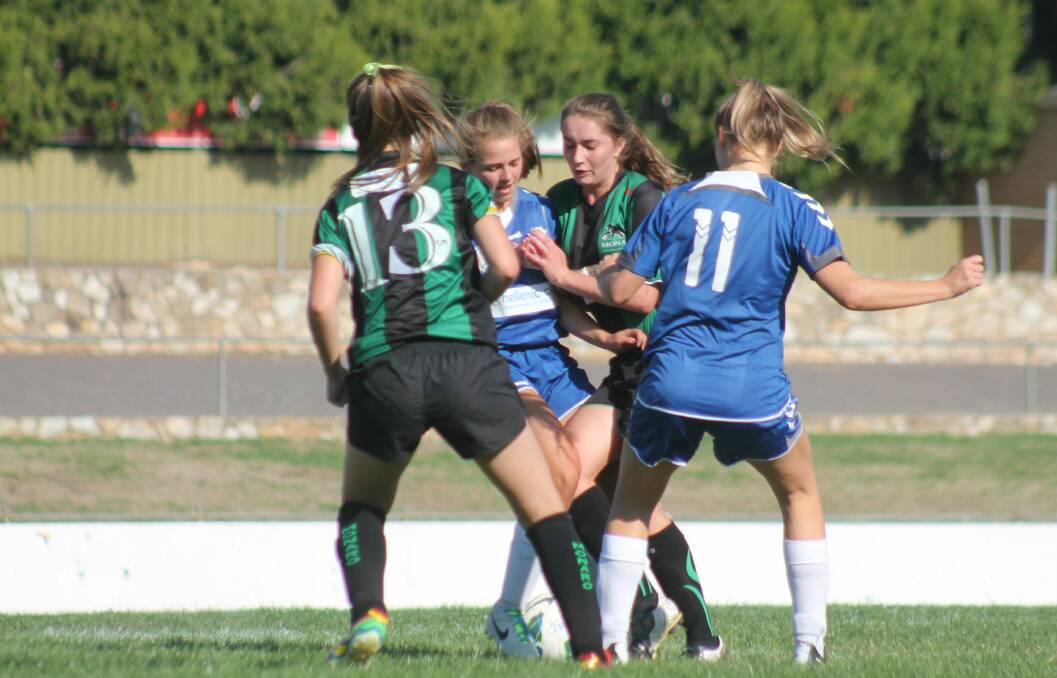2014 Mayoress' Shield. Monaro Panthers 4 def Canberra Olympic 1 at Seiffert Oval on Sunday. Photos: Andrew Johnston