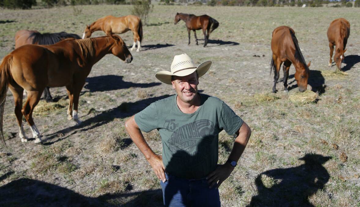 Rodeo contractor Brett Woodbridge with some of his prized saddle bronc and bareback horses on his property outside Bungendore. Photo: Andrew Johnston, Queanbeyan Age