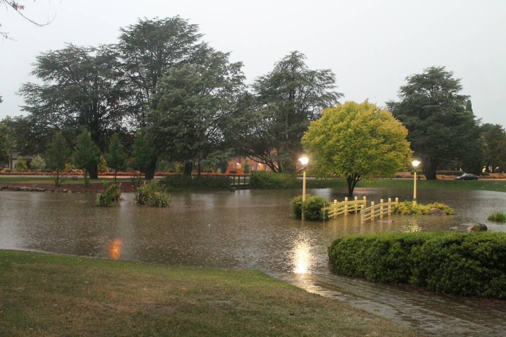 The pond at Town Park quickly rose past its usual banks. 