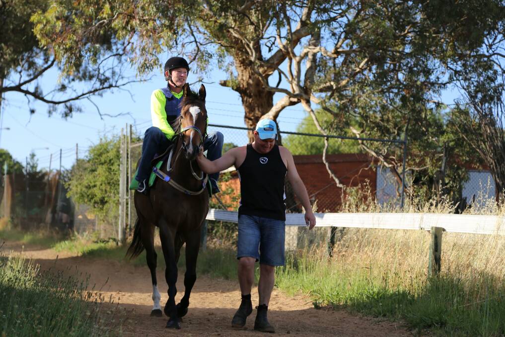 2YO Quietly Brilliant will run in the $100,000 Golden Gift at Rosehill later this month. Pictured here earlier this week with trackwork rider Heath Parker and trainer Joe Cleary. Photos: Andrew Johnston