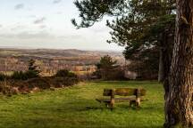 I went to Winnie the Pooh's real Hundred Acre Wood - and found more than nostalgia