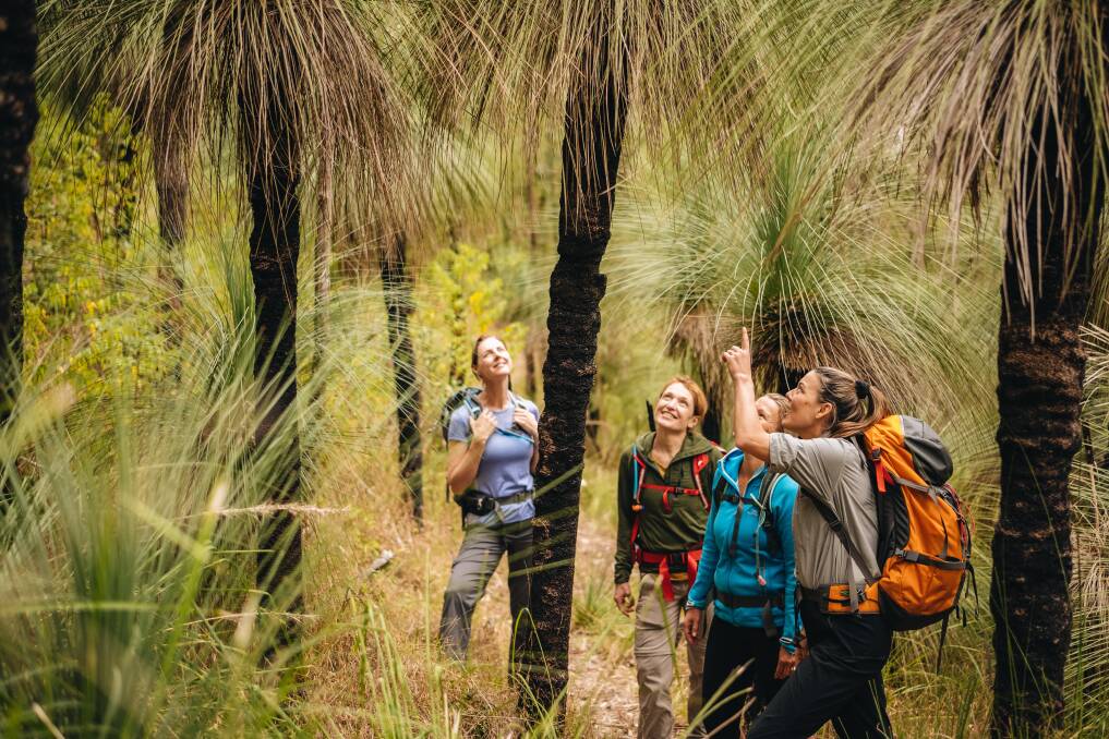 Guides reveal the environment's incredible stories. Guides reveal the environment's incredible stories.