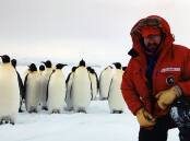 Prof Tony Haymet with a colony of penguins in Antarctica