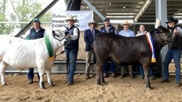 With the reserve and champion led steers are Gavin Saul and Hayden Carter, Cultivate Ag, Kempsey, the judge Ben Toll, Toll Cattle, Dubbo, Phil Jones, Tenterfield High School, Mark Fisher and Grace Collins, Armidale Secondary College, Northern Schools competition coordinators, and Lochlan Heidrich, Tenterfield High School. Pictures supplied by Grace Collins