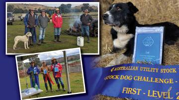 ALL-ROUND WORKERS: (main) Crawfords Butch run by David Crawford, Numby, Reids Flat, won the level 2 (higher level), and (insets top to bottom) participants in the stock dog challenge and placegetters of the level 1 class. Photos: Supplied