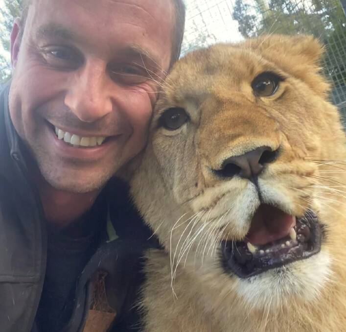 Mogo Wildlife Park managing director Chad Staples with Maji the lioness. Picture supplied Mogo Wildlife Park managing director Chad Staples with Maji the lioness. Picture supplied
