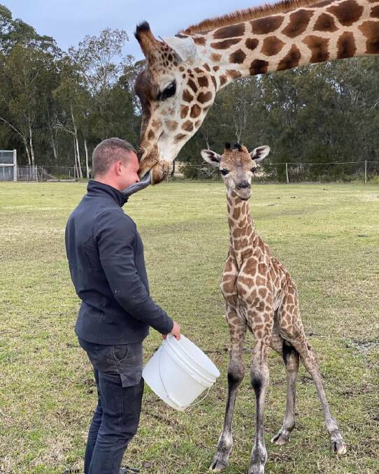 Picture via Instagram @zookeeper_chad Picture via Instagram @zookeeper_chad