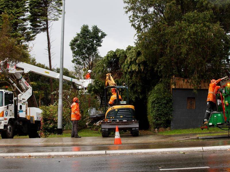 Emergency services have been kept busy after storms swept through many parts of NSW and Victoria. (Nikki Short/AAP PHOTOS)