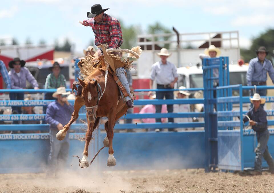 No need for a rodeo with bull and bronc rides at this years show.