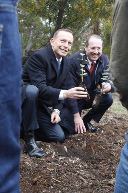 Prime Minister Tony Abbott and Member for Eden Monaro Peter Hendy planting trees at Barracks Flat Park ahead of the Green Army program announcement. Photo: Kim Pham.