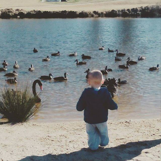 Taking a trip down to the river and feeding the ducks is a much beloved Queanbeyan past time. Photo: Instagram/rexythreads.
