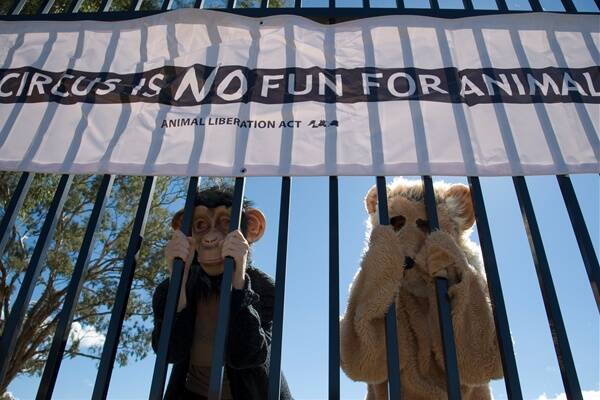 Animal Liberation ACT members Sarah Taylor and Courtney Dahlenburg protest against the circus in Queanbeyan. Photo: Elesa Lee